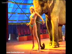 Flawless blonde sweetheart in a miniature belt bikini posing with an heavy elephant 
